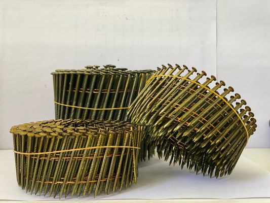 Good price Shingle Nail Galvanized Coil Nail  Stainless Steel Galvanized Roofing Nails Coil online